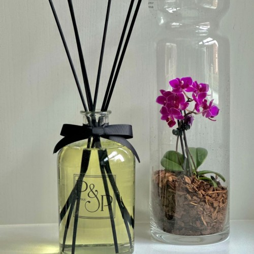 Premier Reed Diffuser