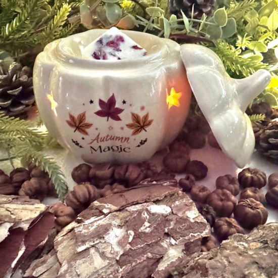 Autumn Magic Pumpkin Burner Autumn Magic Pumpkin Burner