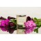 Signature Collection Black Orchid, Raspberry & Lemon  Signature Collection Black Orchid, Raspberry & Lemon